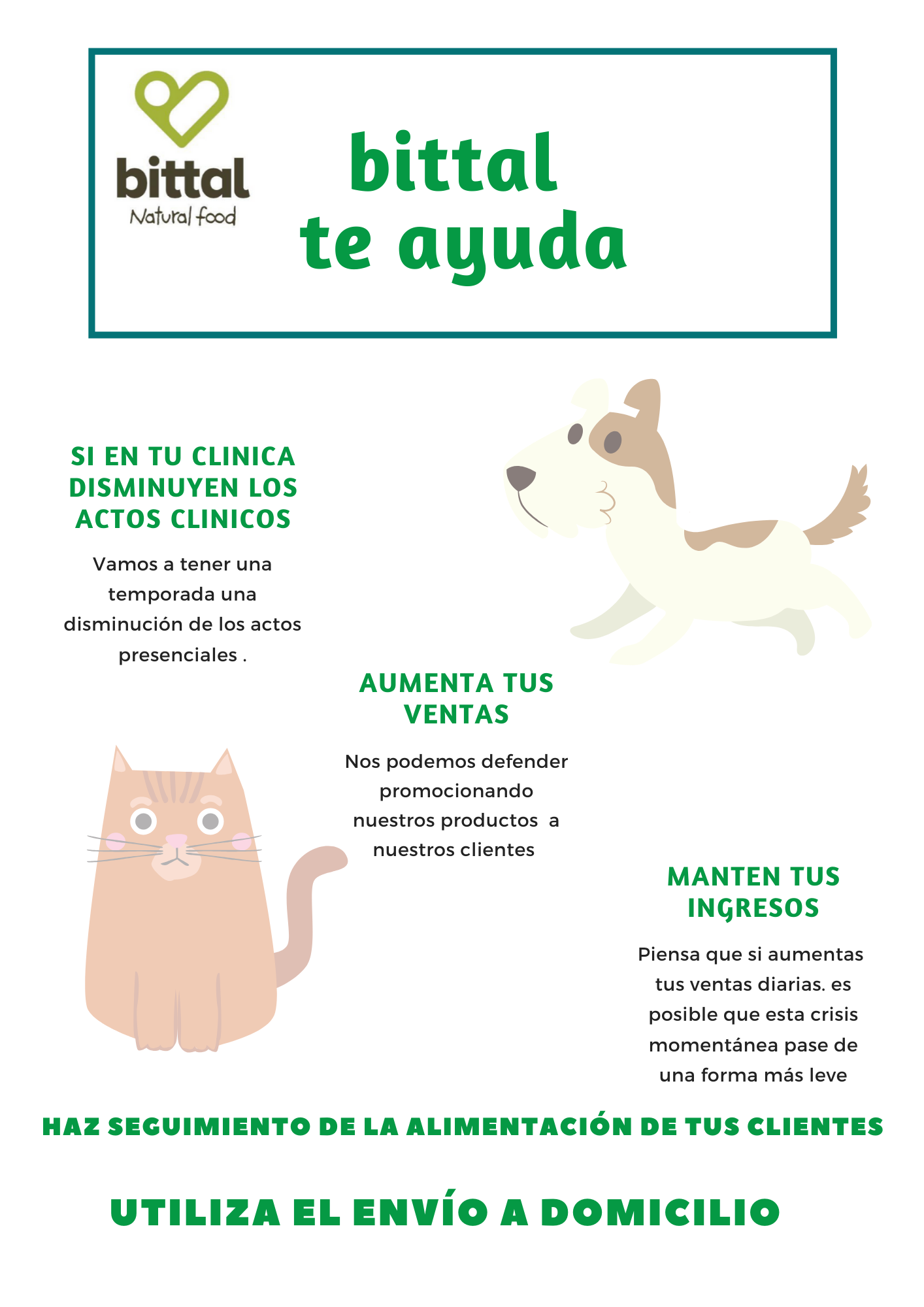 Sugerencias | Bittal